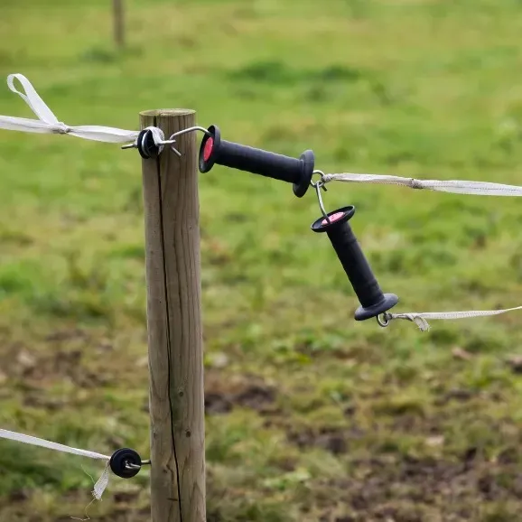 fencing