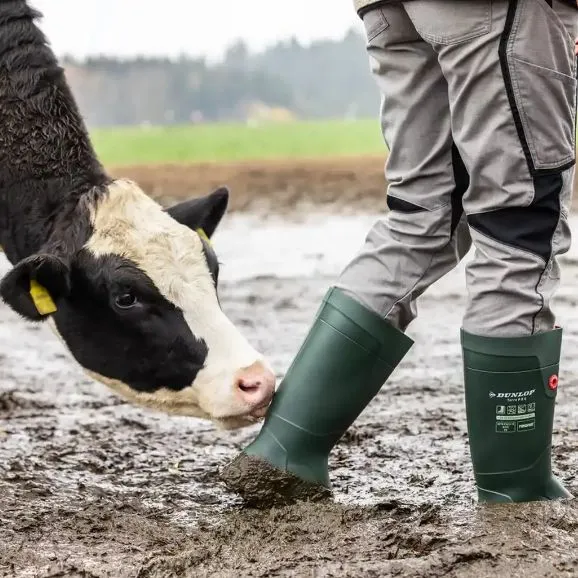 wellies